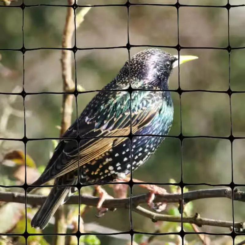 bird netting