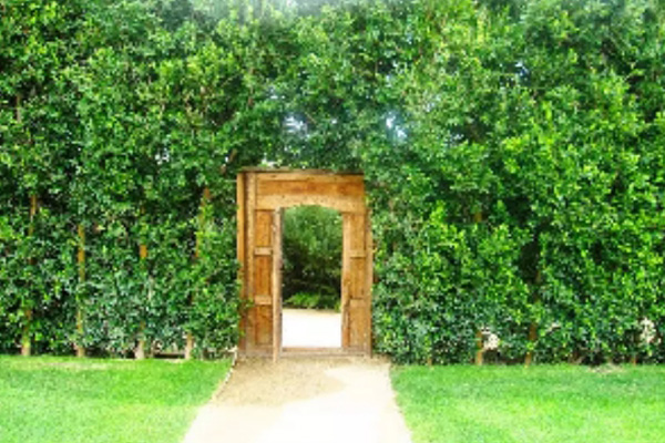25-Cool-Garden-Wooden-Gates-4.jpg