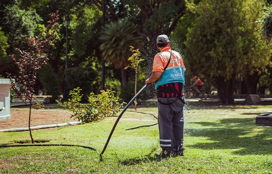 Application of Expandable Garden Hose