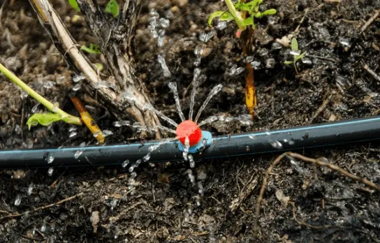 Application of 10 Piece Drip Irrigation Kit with Adjustable Drippers for Watering