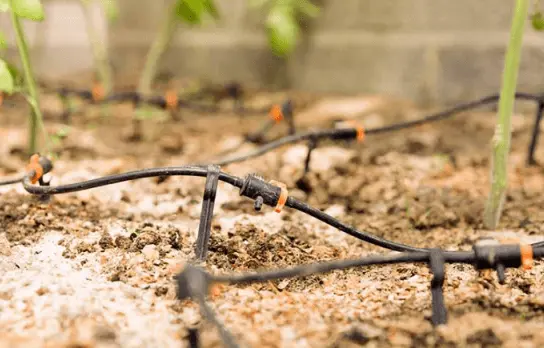 Application of Drip Irrigation Watering Kit for Raised Beds