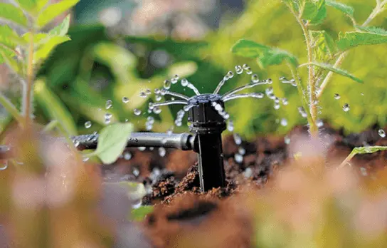 Application of Yard Drip Irrigation System with Adjustable Sprinkler Heads