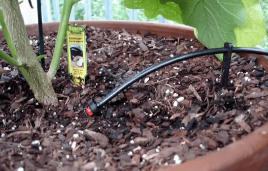 Application of Automatic Misting System Drip Irrigation Tubing for Patio Plants