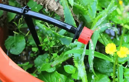 Application of Inground or Hanging Micro Mist Watering Kit for Agriculture