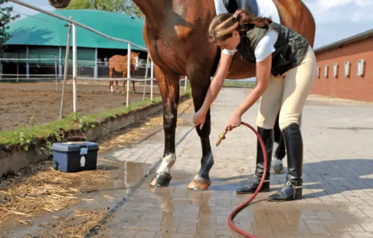 The Reasons To Use Rubber Hoses For Your Garden